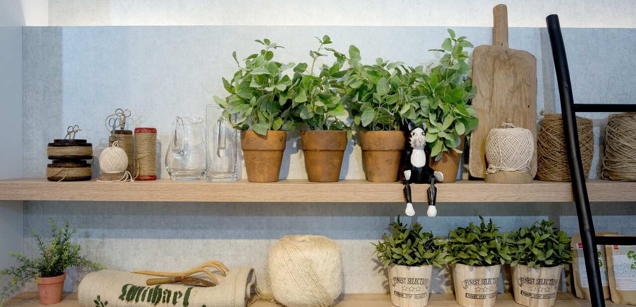 Welcher Küchen-Typ sind Sie? Welcher Küchen-Typ sind Sie?